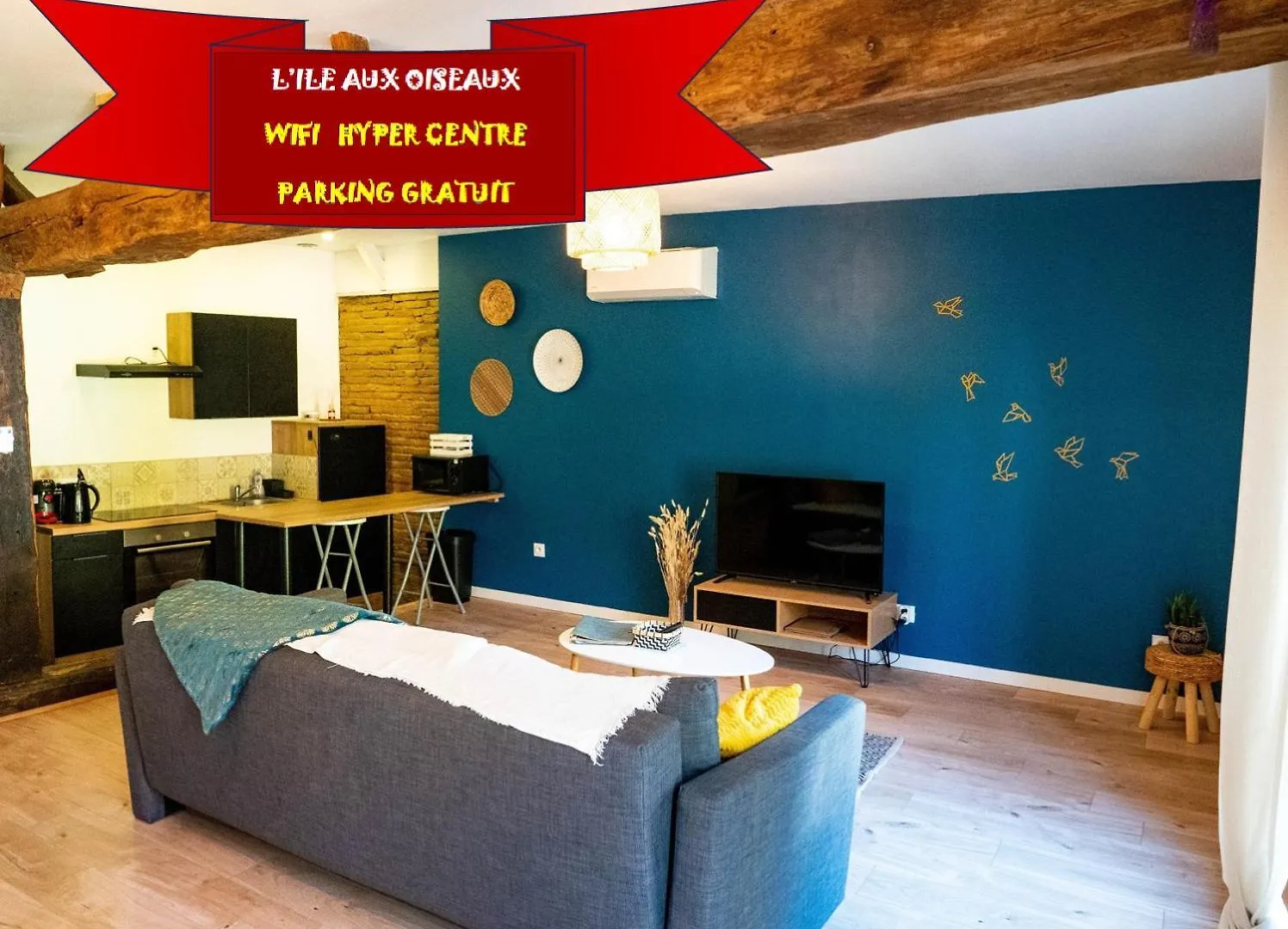Apartamento L'Ile Aux Oiseaux Moissac